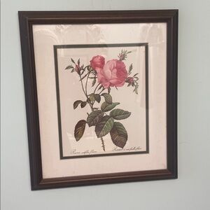 Framed Botanical Rose Art Print from the 80’s